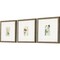 Homeroots Set Of Three Antique Botanical Gold Framed Print Wall Art, 3PK 525894 - alternate 3