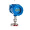 Aw Lake RT-30SD - Flow Transmitter with Local Display RT-30SD-D02 - alternate 1