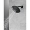 Delta H2Okinetic(R) 3-Setting Raincan Shower Head 52686-BL - alternate 3