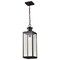 Nuvo Luca, Hanging Pendant, Sand Black Finish, Clear Beveled Glass 60/8514 - alternate 1