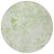 Homeroots 8' Green And Ivory Round Floral Washable Indoor Outdoor Area Rug 583090 - alternate 6
