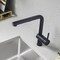 Blanco Linus Pull-Out 1.5 GPM, Anthracite 526367 - alternate 5