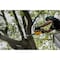Dewalt 14 in L Cordless Battery-Powered Chainsaw Kit, Battery Included DCCS674X2 - alternate 7