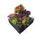 Epe Usa Floral Arrangement Transport Tray, 5 Holes, 24 x 24 x 7 in, Black Adjustable for 2-8 inch Vases E7308 - alternate 5