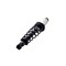 Fcs Struts Suspension Strut And Coil Spring Assembly 1345596R - alternate 5