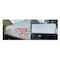 Eaco Chem Graf-Ex 1 Gallon - Outstanding Removal of Inks and Paints. Easy-to-use Multi-purpose Modern Day Str GE1g - alternate 2