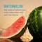 Liquid I.V. Watermelon Hydration Multiplier Electrolyte Drink Mix, 0.56 Ounce, 96PK LVS-8007 - alternate 7
