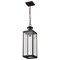 Nuvo Luca, Hanging Pendant, Sand Black Finish, Clear Beveled Glass 60/8514 - alternate 7