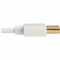 Tripp Lite Display Cable P569-006-SLIM-W - alternate 3