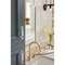 Amerock Glacio 3-3/4 in 96 mm Center-to-Center Clear/Champagne Bronze Cabinet Pull BP36654CCZ - alternate 3
