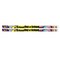 Musgrave Pencil Co 100th Day Of School Motivational Pencils, 144PK MUS2489G - alternate 2