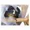 Komatsu FINAL DRIVE ASS, KOMATSU OEM 56B-22-22004 56B-22-22004 - alternate 2
