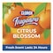Clorox Multi-Purpose Cleaner, Bottle, 175 oz, Citrus Blossom, 3 PK 60615CT - alternate 5