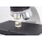 Motic Instruments Usa Panthera TEC-BD/DF/RL Trinocular Compound Upright Microscope with 6x4 Stage 1100104600221 - alternate 2