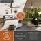 Vaxcel Ruston, 60 in, Black Indoor/Outdoor Ceiling Fan, Hickory Blades, LED, Remote, DC F0140 - alternate 6