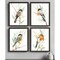 Homeroots Set Of Four Tree Toppers Black Framed Print Wall Art, 4PK 416795 - alternate 3