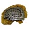 Agco CHAIN, AGCO OEM 113931M1 113931M1 - alternate 4