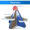 Scratchme Cat Scratcher Post Board, Mount Fuji Shape Cat Scratching Lounge Bed, Durable Pad Prevent PTFURNSCRATPADMOUTAIN - alternate 3