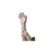 Ambitex Medium Clear Vinyl Powder-Free Exam Gloves, 100PK VMD200 - alternate 2