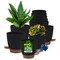 Campior Black Self Watering Pots Indoor and Outdoor Plant Pots with Wick Rope and Drainage Holes, 10PK CAMPPLTBK87 - alternate 1