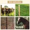 Wrightmaster 48 in. x 164 ft. 14 Gauge Reinforced Hot-Dip Galvanized Poultry Fencing, Expertly Woven ZOR-CP0019 - alternate 5