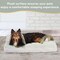 Simple Deluxe FluffyDream Dog Bed for Medium Dog, Super Soft Pet Bed Mat, Suitable for Dogs Up to 65lbs, 36in x 2 PTDBEDMATTEDY3627MIN - alternate 6