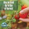 Maggies Farm 24 Oz. Ready To Use Trigger Spray Vegetable Garden Insect & Disease Control MVID024 - alternate 2