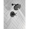 Delta Galeon: 17T Series Shower Trim With Ultrasoak T17T271-BL - alternate 5