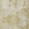 Homeroots 10' X 14' Beige Tan And Ivory Floral Washable Indoor Outdoor Area Rug 588533 - alternate 8