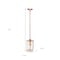 Homeroots Rose Gold Cylinder Iron Ceiling Light With Clear Shades 651631 - alternate 4