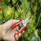 Corona Tools Yard Essentials Mini Floral Snips FS43623 - alternate 4