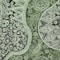 Homeroots 3' X 5' Olive Green Charcoal And Gray Floral Medallion Washable Indoor Outdoor Area Rug 603185 - alternate 7