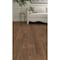 Shaw Floorte Pro Endura Plus Modern Classic 7'' Wx48'' L Vinyl Rigid Core Floor Plank, 18.67 Sq. Ft./Case 0736V07295 - alternate 1