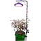 Miracle Led 5-Gallon Growing Combo with 100W Grow LED Light, 5ft Stand 803022 - alternate 5