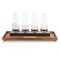 Picnic Time Family Of Brands Cava Wine Tasting Kit with 4 Glass Carafes 600-04-512-000-0 - alternate 1