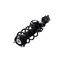 Fcs Struts Suspension Strut And Coil Spring Assembly 1333967R - alternate 4
