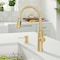 Blanco Empressa Pull-Down 1.5 GPM, Satin Gold 442980 - alternate 6