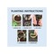 Nk Seed Starting Peat Pot 15 Cells 3in H X 3in W X 3in L Brown, 15PK FR312B - alternate 6