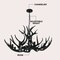 Jonathan Y Eldora 36" 8-Light Rustic Farmhouse Adjustable Resin Antler LED Chandelier, Black JYL6319C - alternate 9