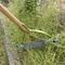 Ames Deluxe Weed Cutter, Double-Edge Serrated Blade, Hardwood Handle 2915300 - alternate 6