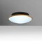 Besa Lighting Silk 17 Ceiling, Opal/Gold, 1x60W Incandescent SILK10GDC - alternate 1