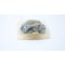 Khk Usa SPUR GEAR SSG2-48 - alternate 3