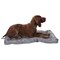 Slumber Pet Dog Bed, 24 in L, 11 in W, Nylon Cover, Gray ZA210 24 11 - alternate 4