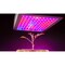 Beyond Led Technology LED Grow Light, 480 Watt, 1200uMol/s, Full Spectrum, 100-277Vac, 44.4" X 21.4", ETL Listed 152267 - alternate 5