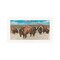 Homeroots Bison Herd White Framed Print Wall Art 529696 - alternate 2