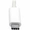Tripp Lite USB 3.1 GEN 1TO HDMI ALTERNATE MODE DUAL U44406NHDAM - alternate 4