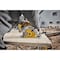 Dewalt Circular Saw Blade, 7.25 in dia., PK10 DWA271424B10 - alternate 4