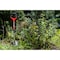 Radius Garden Root Slayer Shovel 22011 - alternate 8