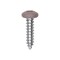 Auveco 10 x 3/4in Tan Painted Square Drive Pan Head Tapping Screw, 100PK 25383 - alternate 1