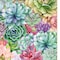 Homeroots Succulents Paradise 1 White Framed Print Wall Art 407880 - alternate 4